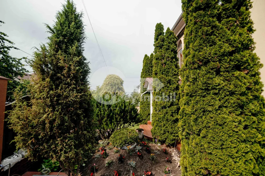 Дом, Рышкановка, ЗАМОЛХЕ