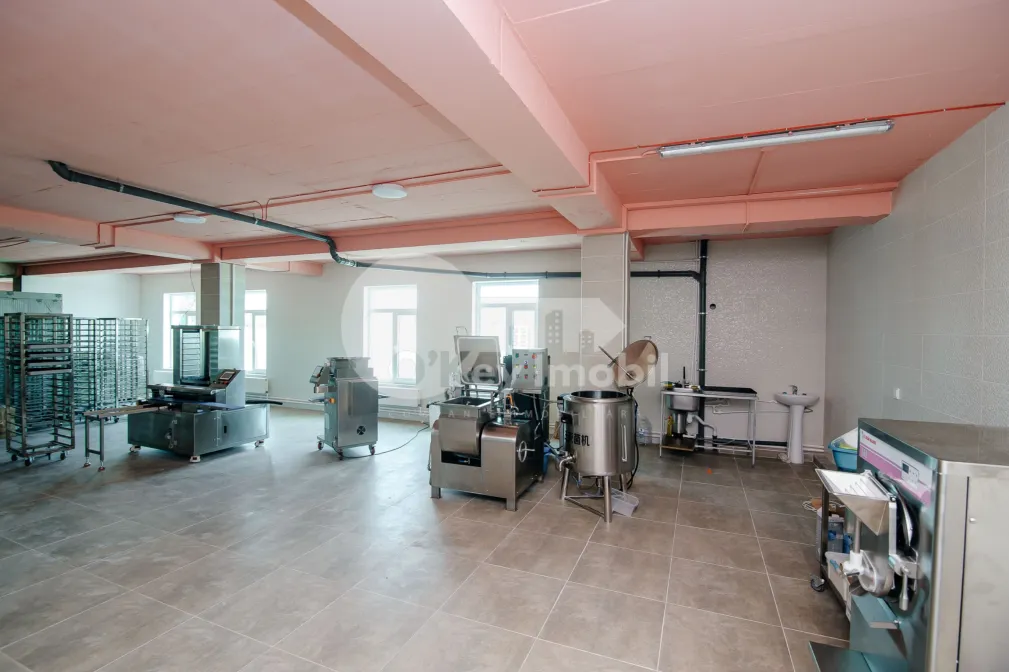 Spațiu pentru producere, ORHEI