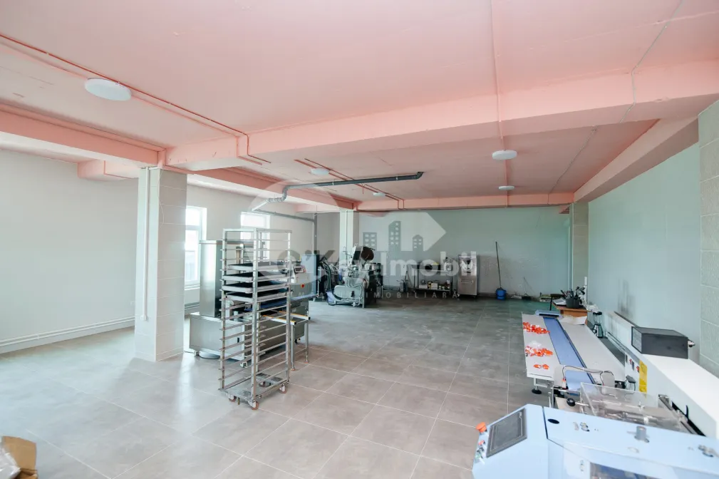 Spațiu pentru producere, ORHEI