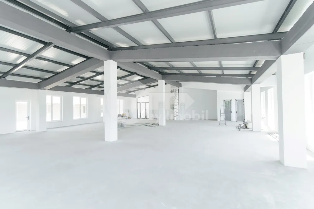 Spațiu pentru producere, Buiucani, PRUNULUI