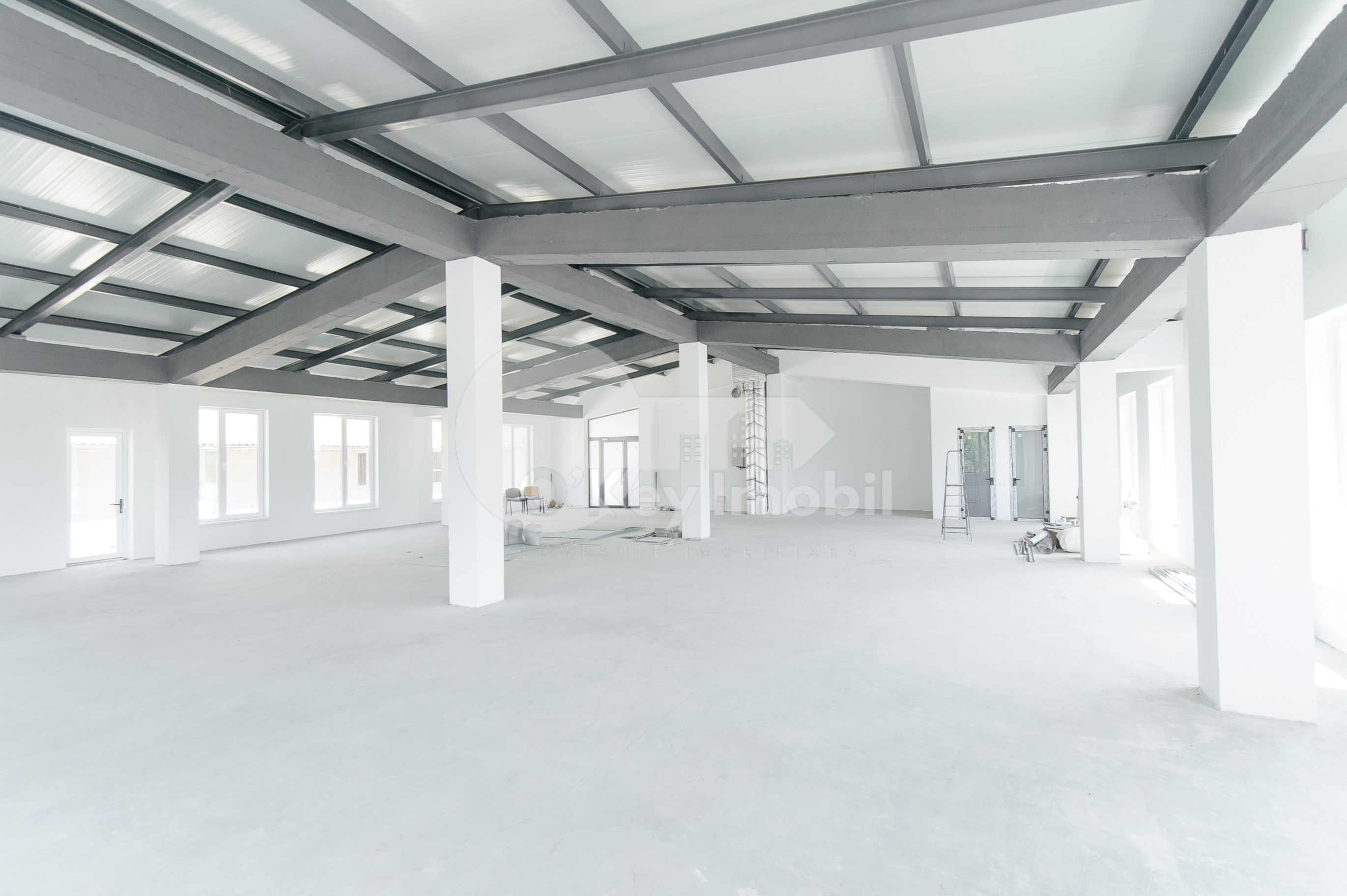 Spațiu pentru producere, Buiucani, PRUNULUI