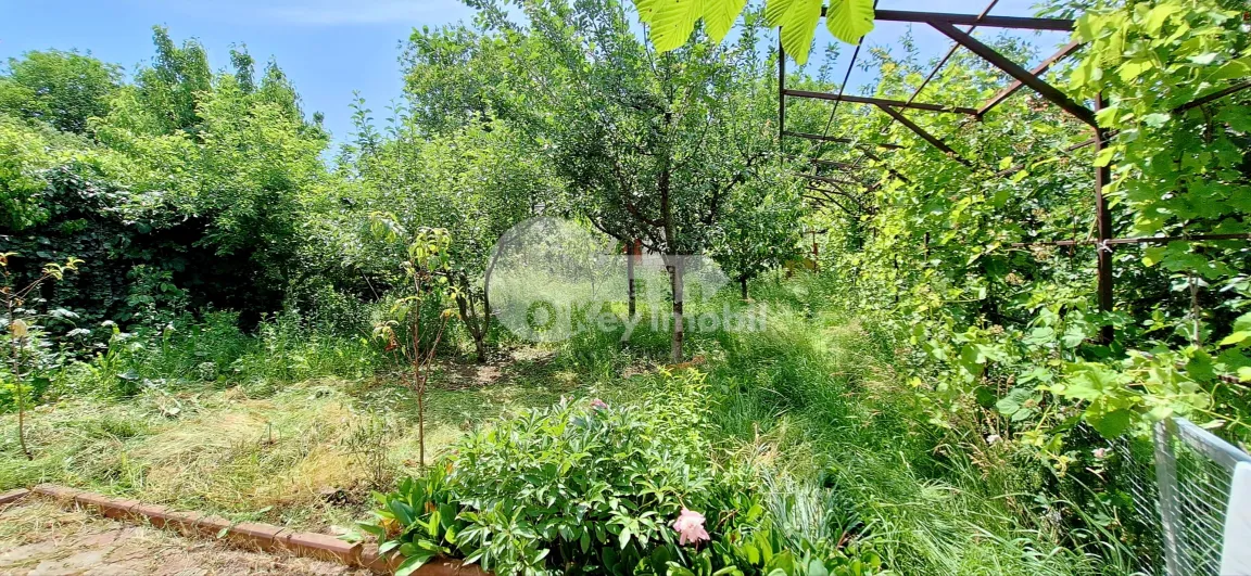 Квартира, Телецентр, ПОРУМБИЦЕЙ