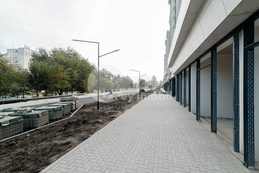 Spațiu comercial, Botanica, DACIA