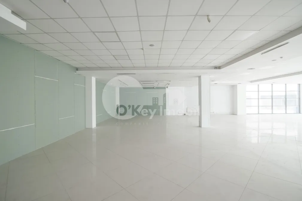 Spațiu comercial, Botanica, DECEBAL