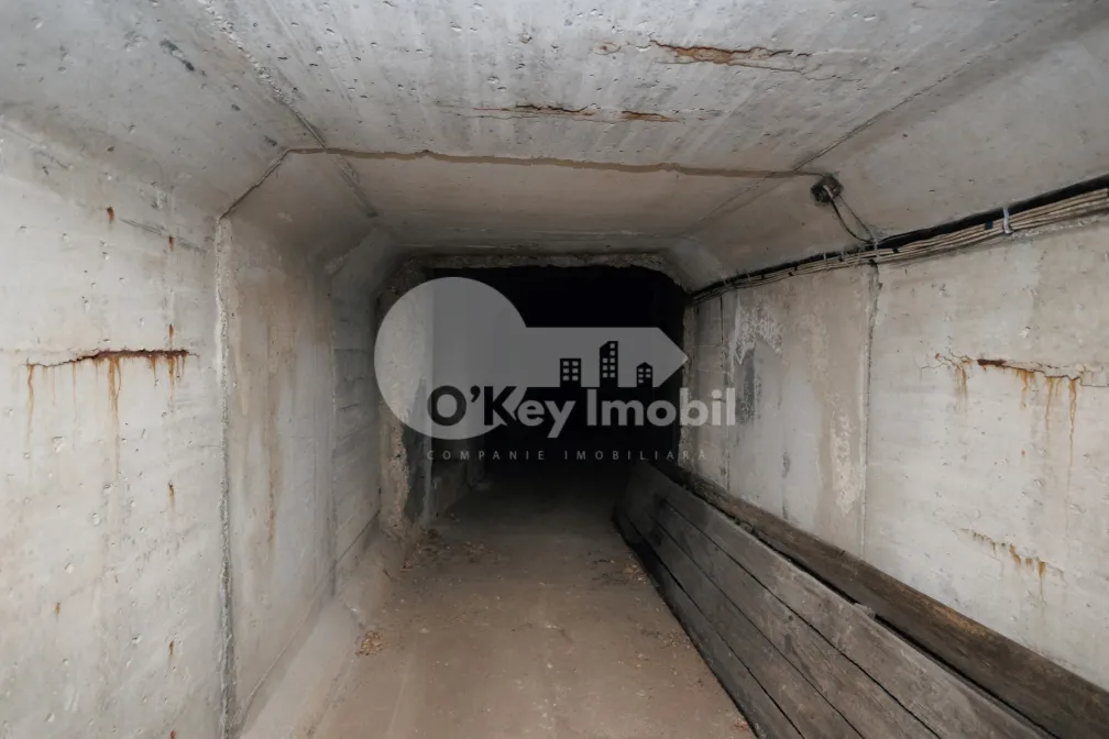 Spațiu comercial, STĂUCENI