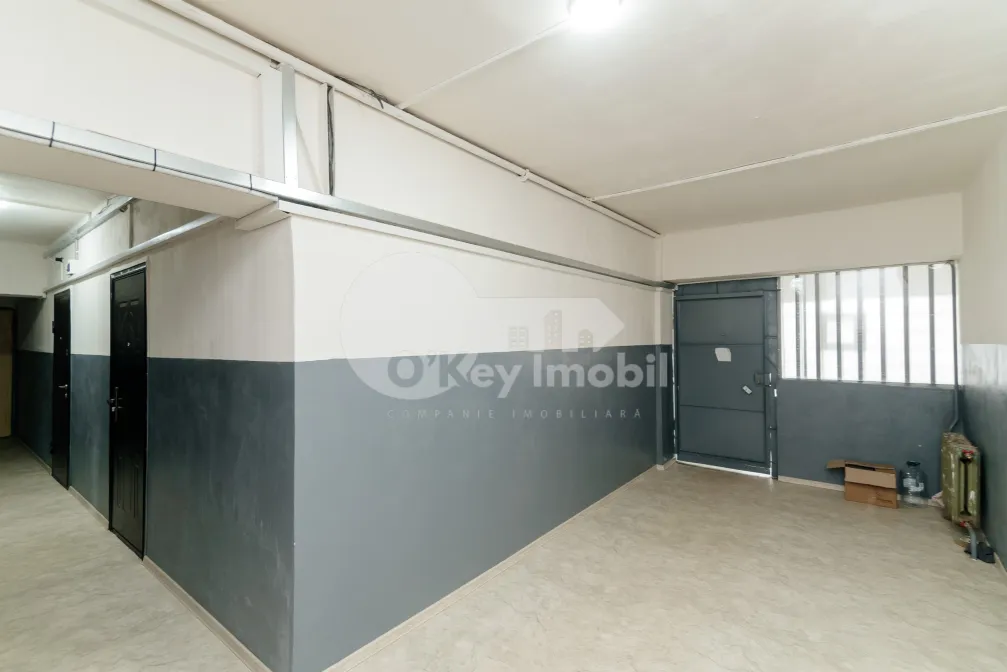 Квартира, Ботаника, ФРУМУШИКА