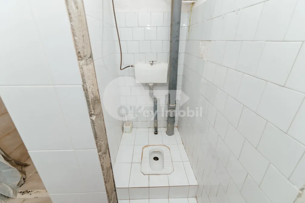 Квартира, Ботаника, ФРУМУШИКА