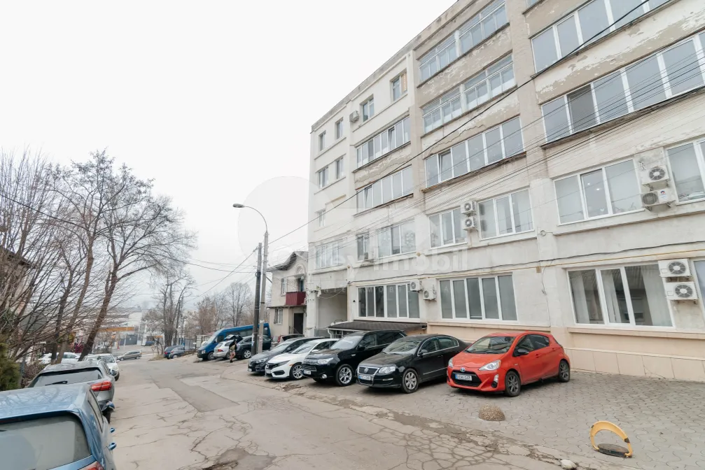 Квартира, Ботаника, ФРУМУШИКА