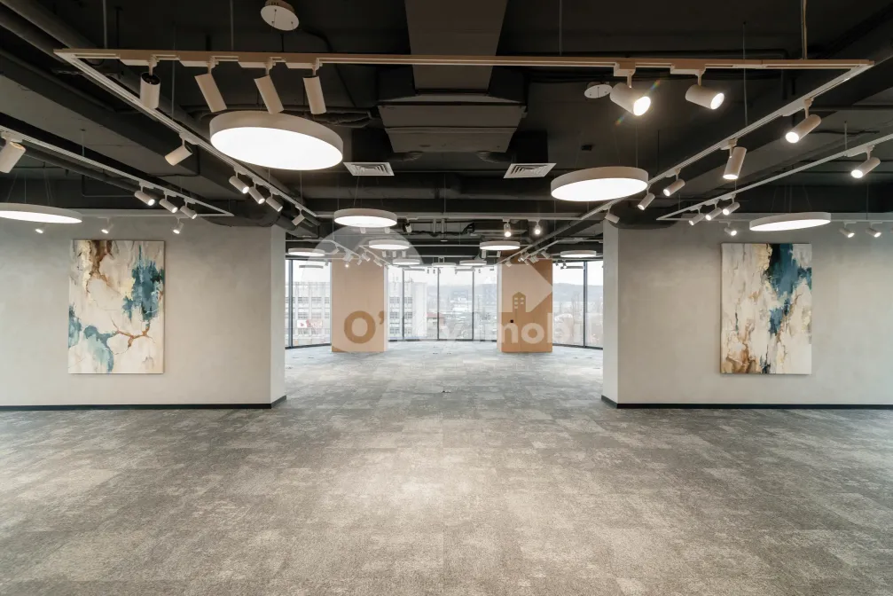 Офис, Центр, ШТЕФАН ЧЕЛ МАРЕ