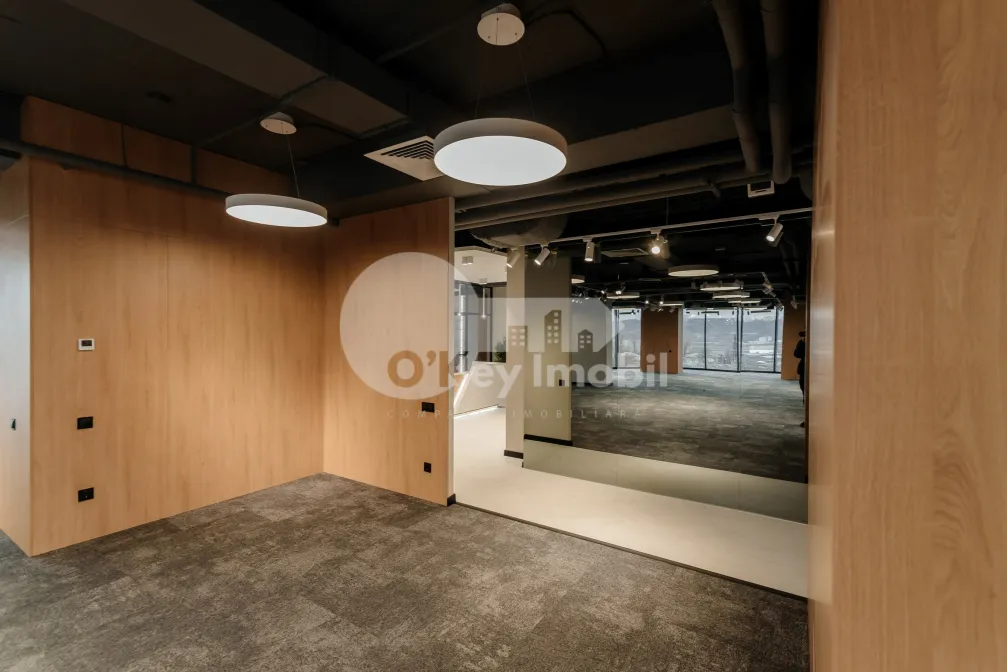 Офис, Центр, ШТЕФАН ЧЕЛ МАРЕ