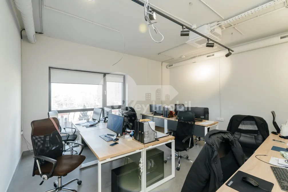 Oficiu, Centru, VERONICA MICLE