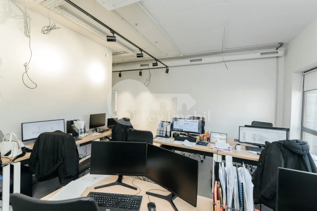 Oficiu, Centru, VERONICA MICLE