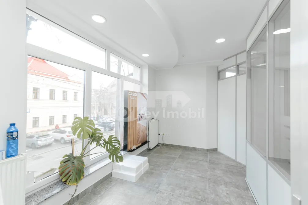 Spațiu comercial, Centru, ALEXEI MATEEVICI