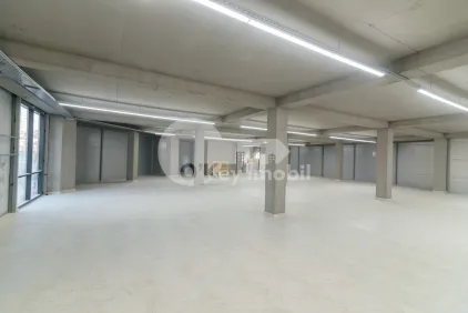 Комм. помещение, Дурлешты, ТУДОР ВЛАДИМИРЕСКУ