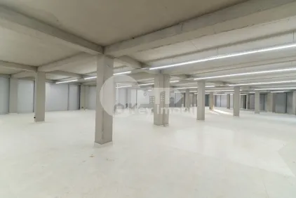 Комм. помещение, Дурлешты, ТУДОР ВЛАДИМИРЕСКУ