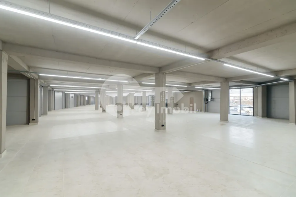 Комм. помещение, Дурлешты, ТУДОР ВЛАДИМИРЕСКУ