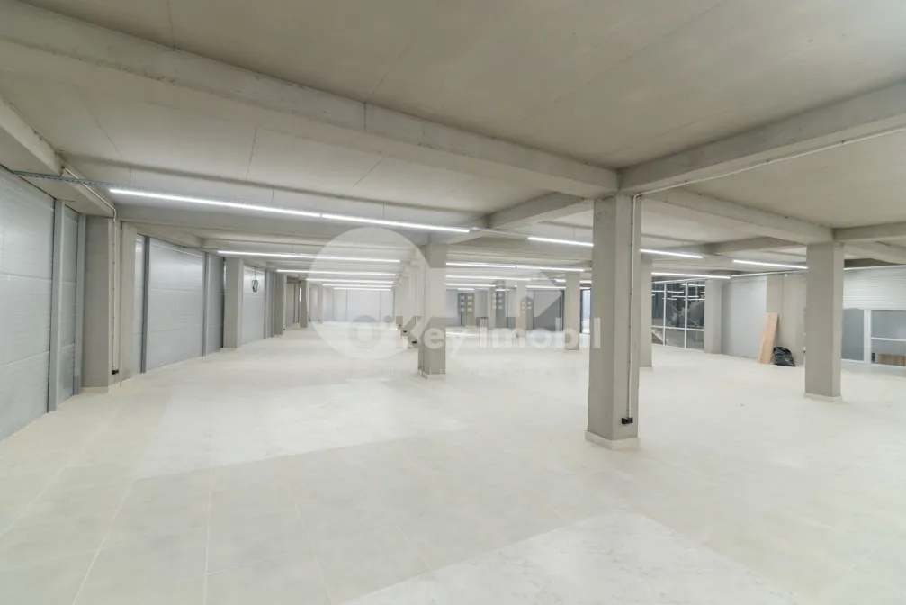 Комм. помещение, Дурлешты, ТУДОР ВЛАДИМИРЕСКУ