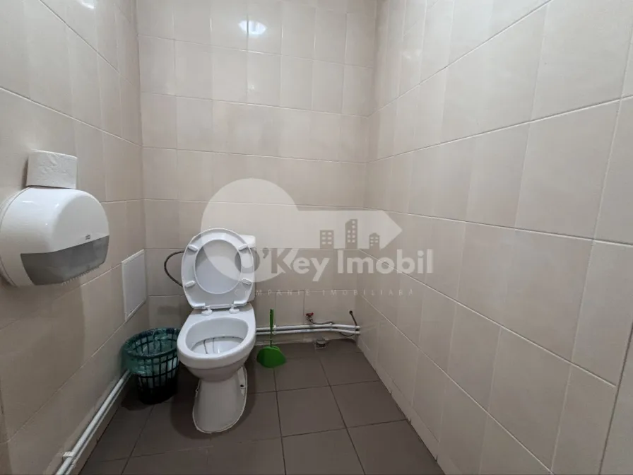 Oficiu, Buiucani, COLUMNA