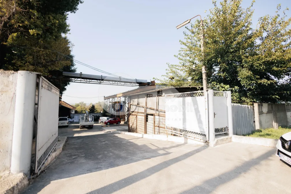 Земельный участок, Чеканы, УЗИНЕЛОР