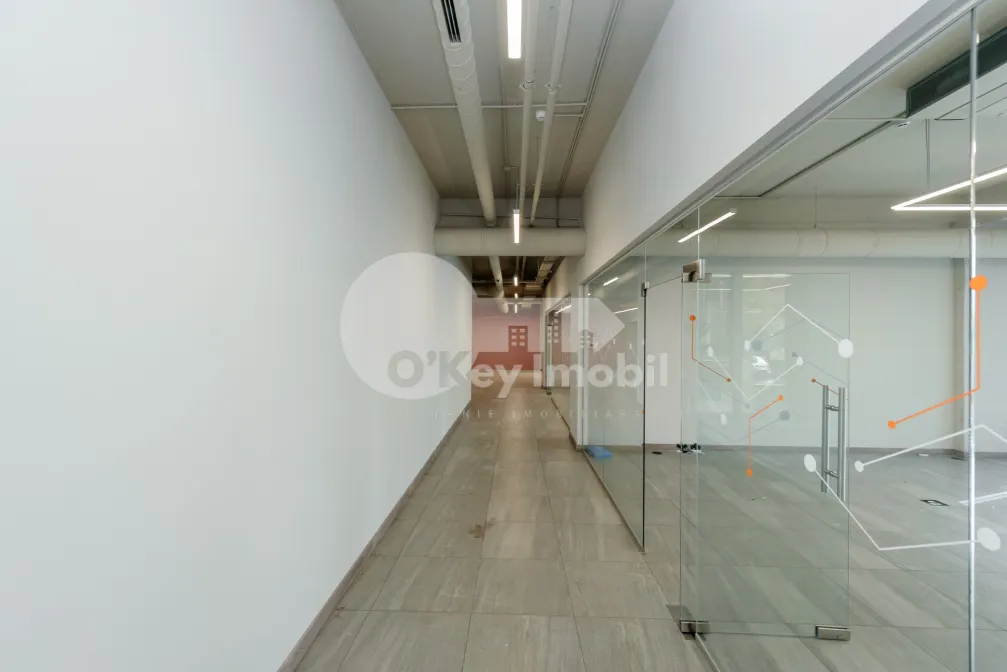 Oficiu, Centru, LEV TOLSTOI