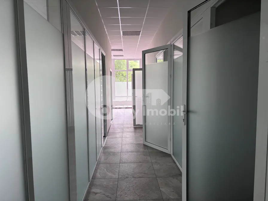 Spațiu comercial, Buiucani, ALBA IULIA