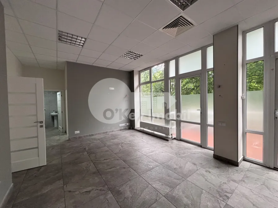 Spațiu comercial, Buiucani, ALBA IULIA