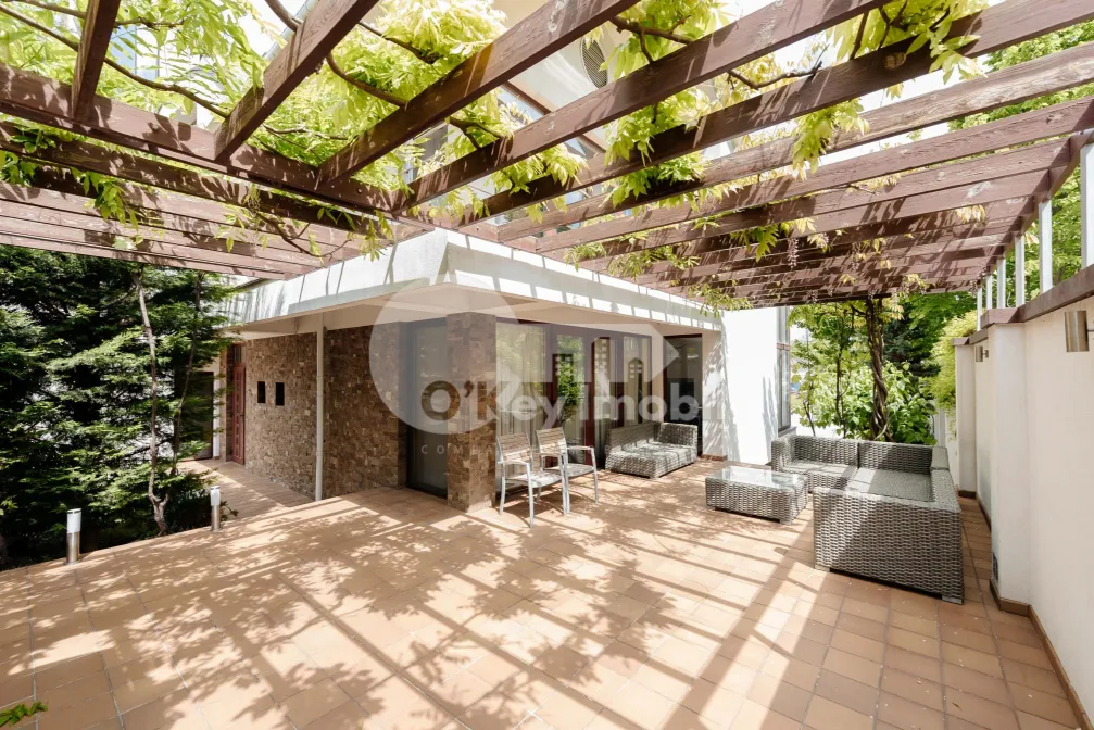 Casă, Telecentru, GHEORGHE ASACHI