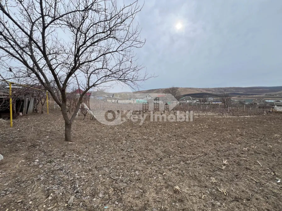 Дом, МОЛЕШТЬ