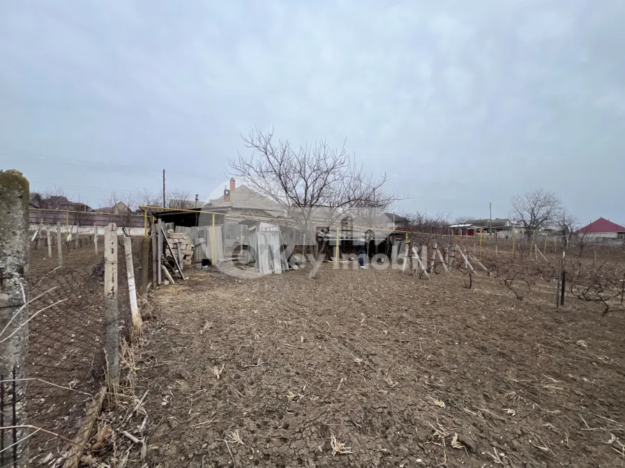 Дом, МОЛЕШТЬ