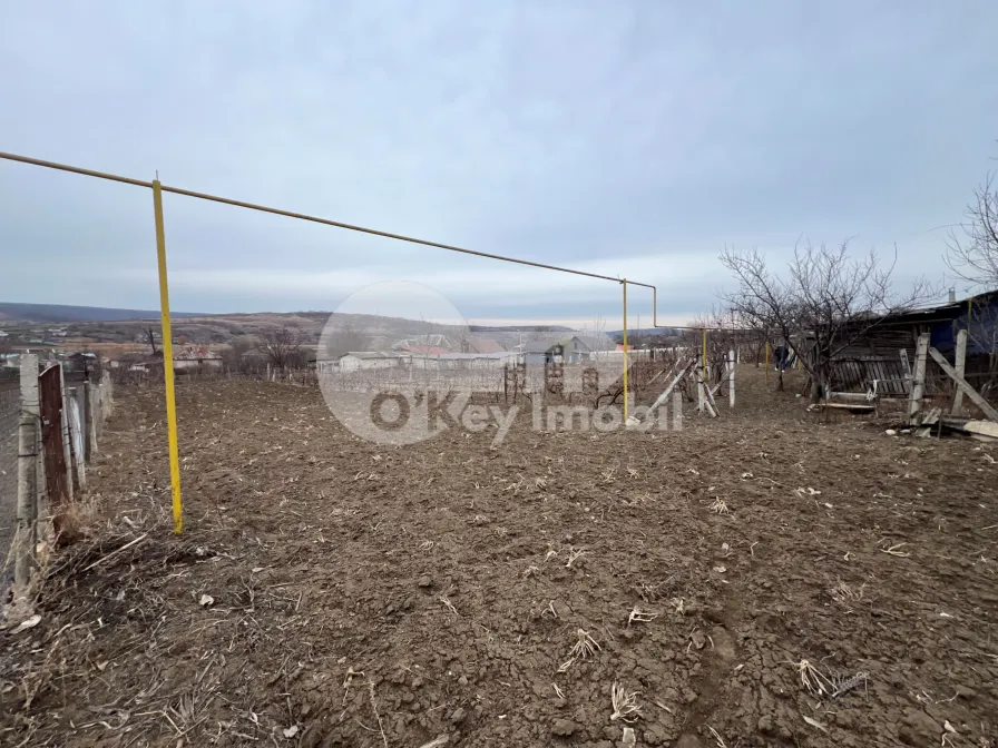 Дом, МОЛЕШТЬ