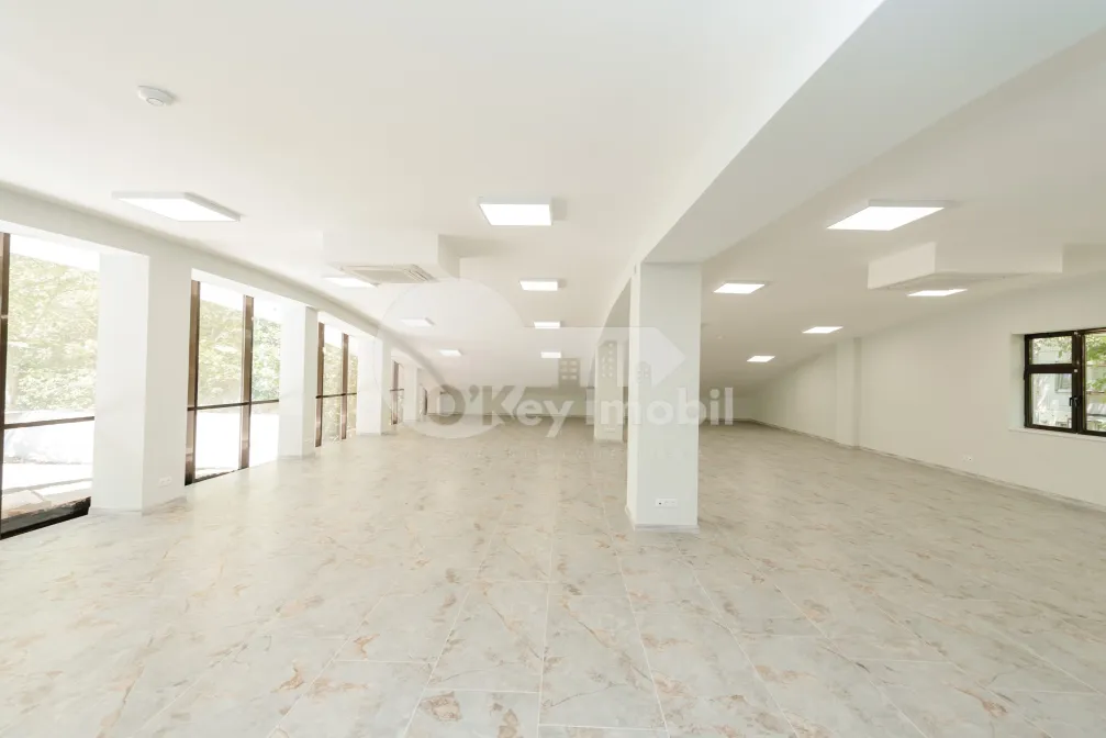 Spațiu comercial, Botanica, INDEPENDENȚEI