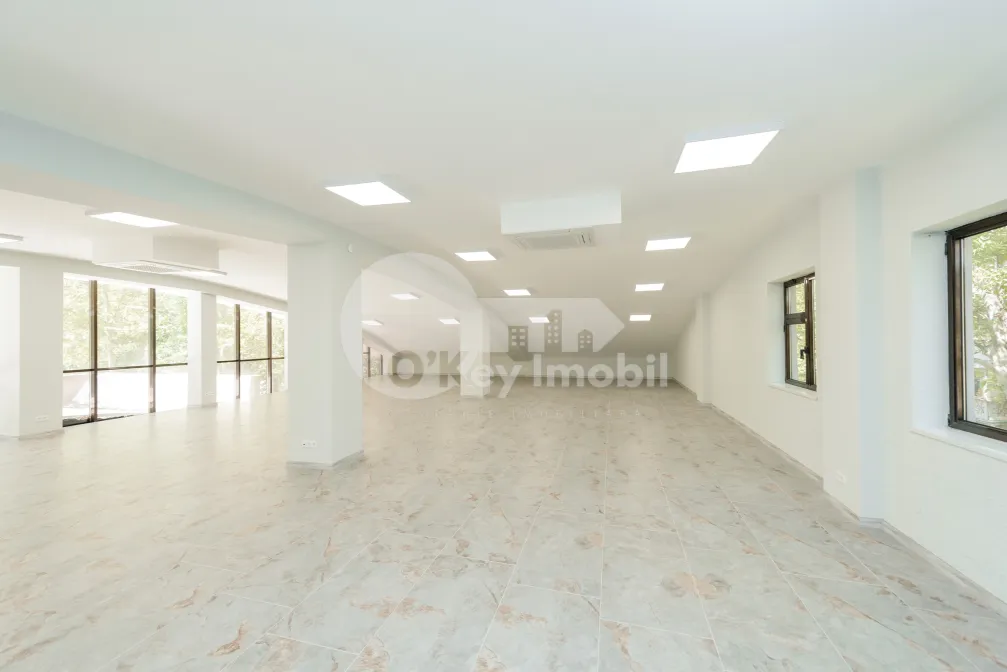 Spațiu comercial, Botanica, INDEPENDENȚEI