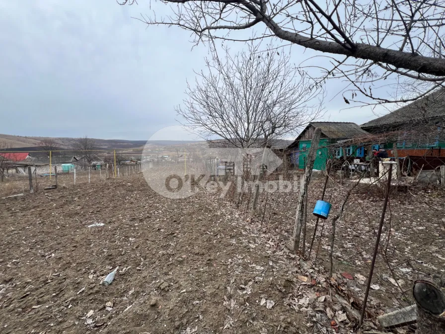 Дом, МОЛЕШТЬ