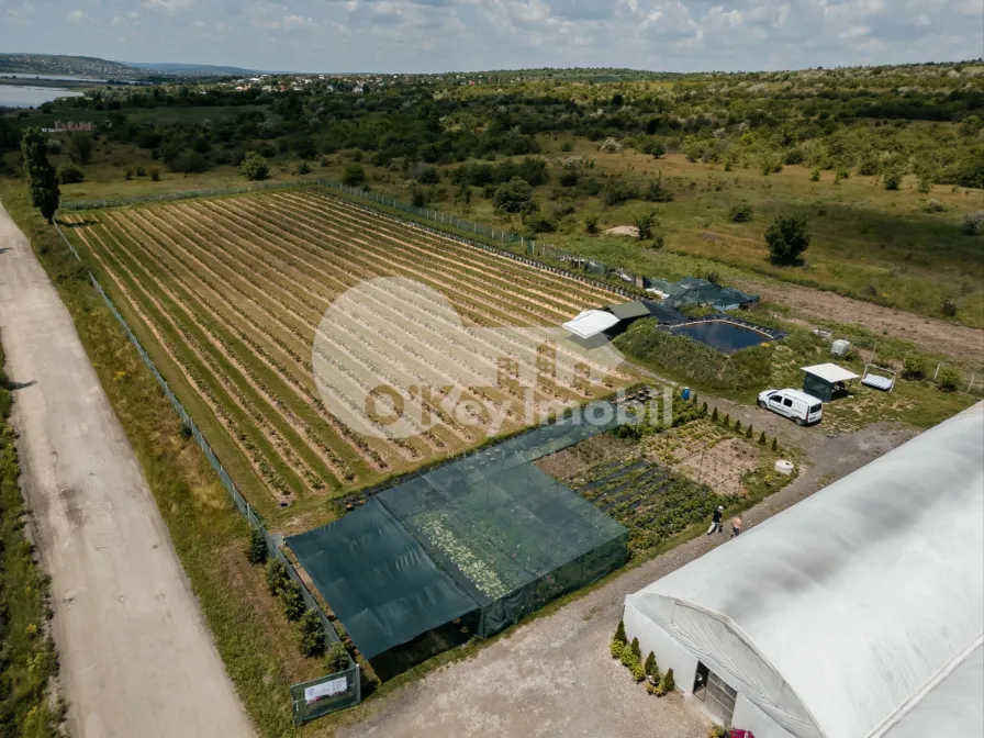 Земельный участок, ЯЛОВЕНЫ