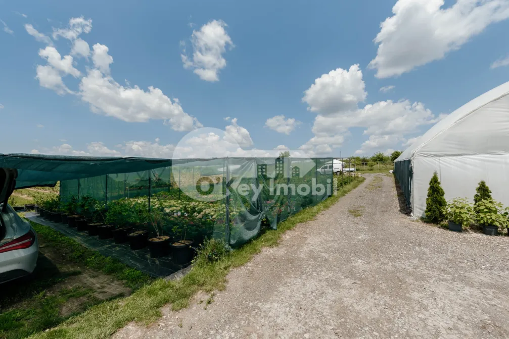 Земельный участок, ЯЛОВЕНЫ