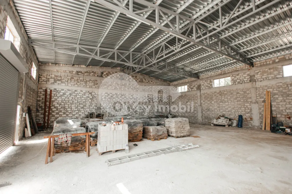 Depozit, Botanica, HALTEI