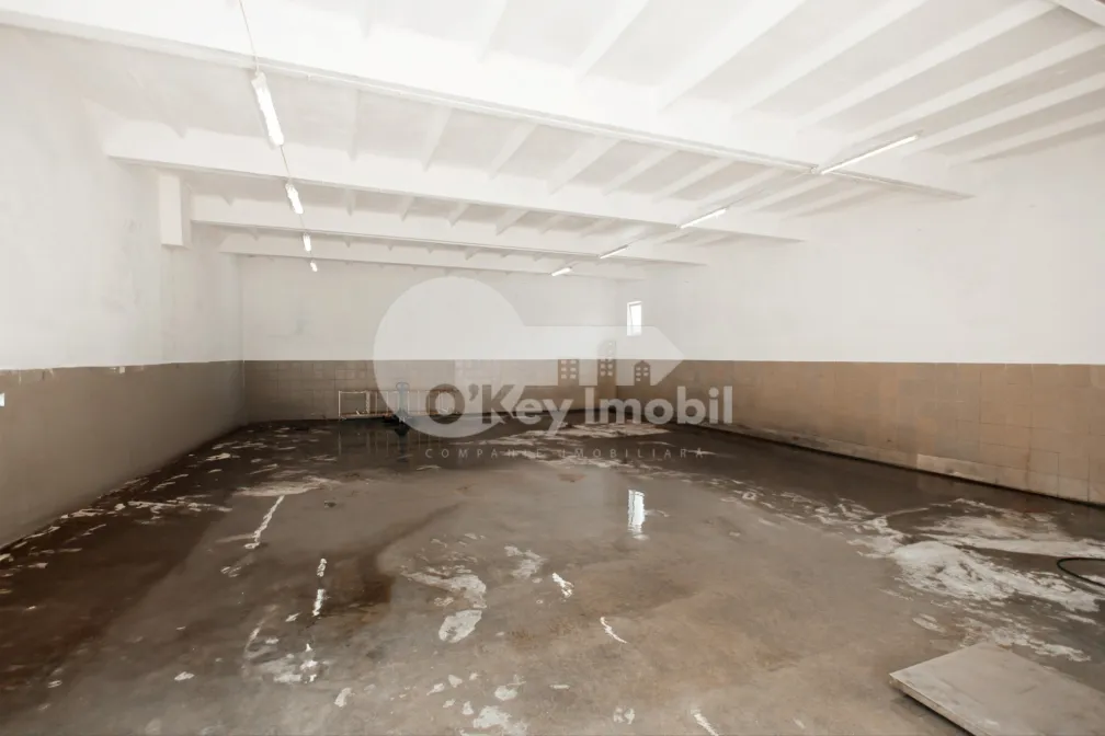 Склад, Ботаника, ХАЛТЕЙ