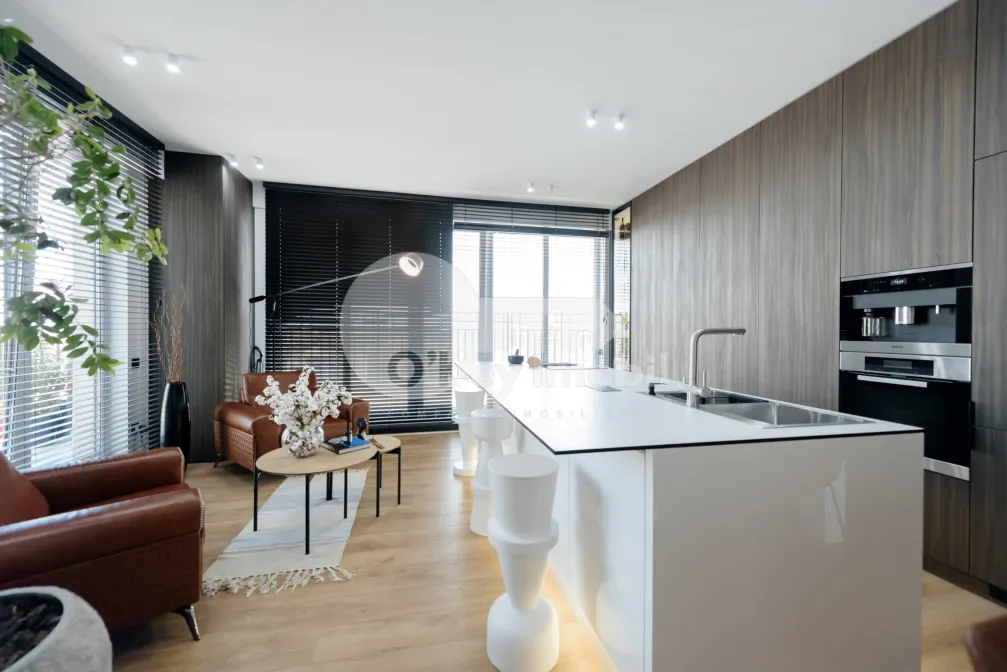 Penthouse, Ciocana, MIRCEA CEL BĂTRÂN