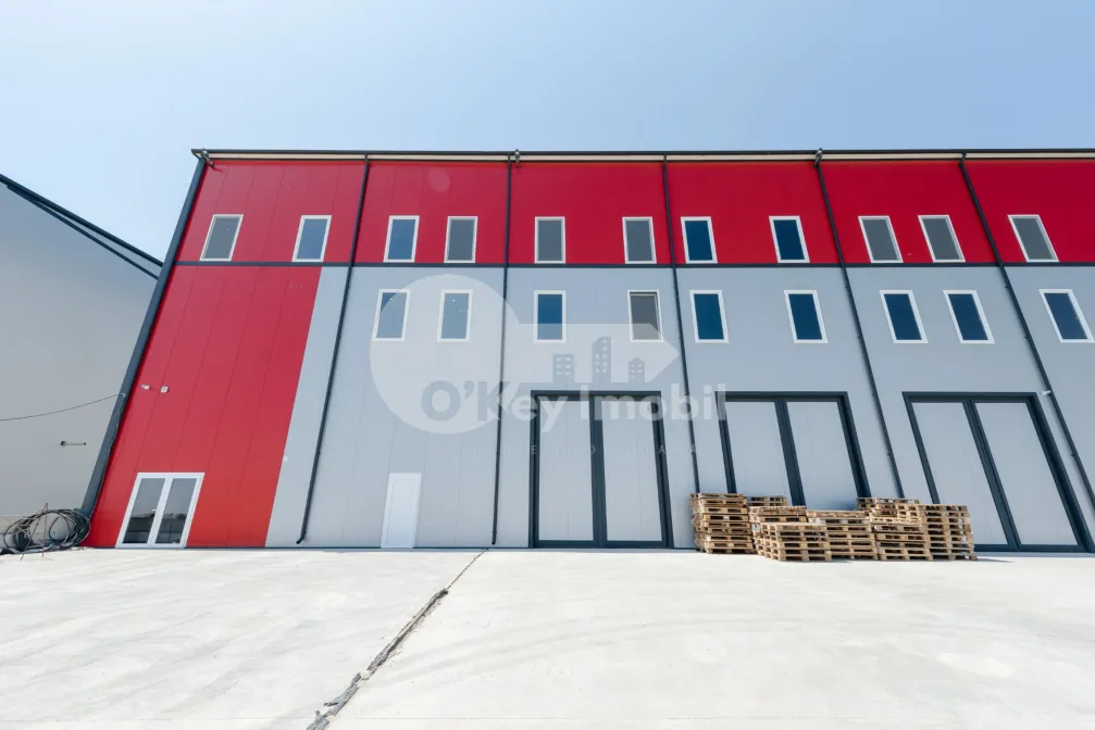 Склад, Ботаника, ДАЧИЯ