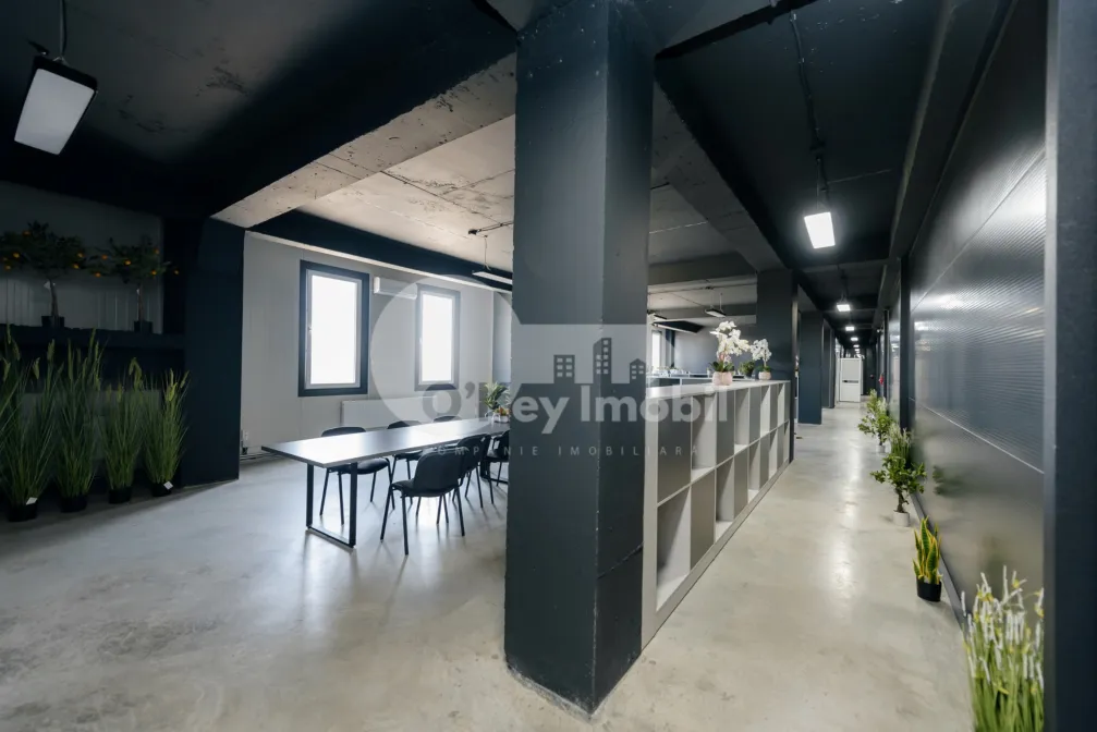 Depozit, Botanica, DACIA