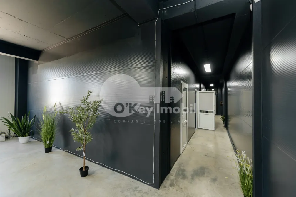 Depozit, Botanica, DACIA