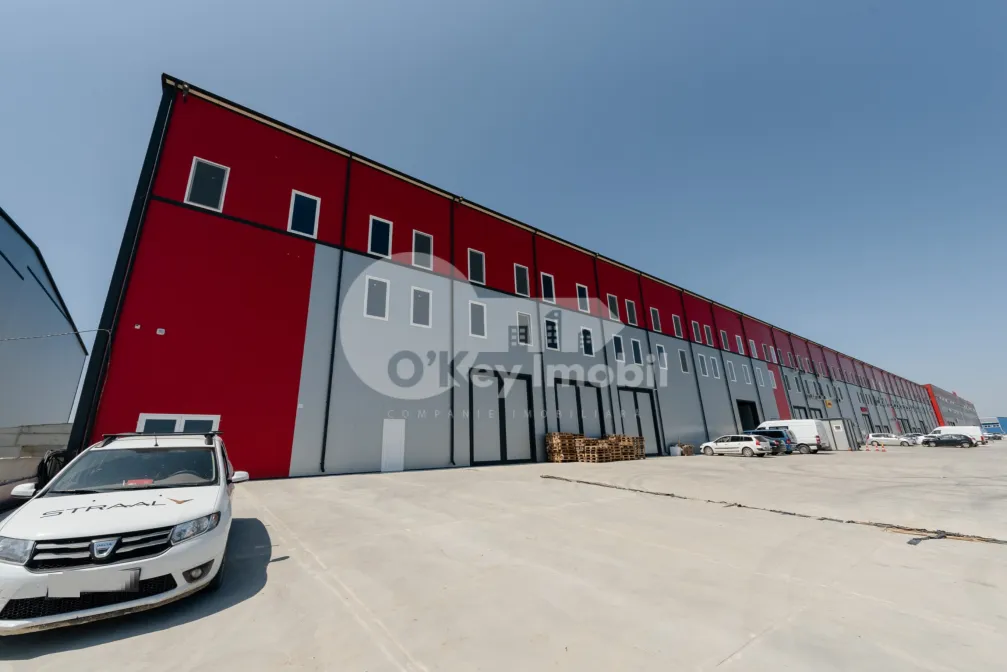 Depozit, Botanica, DACIA