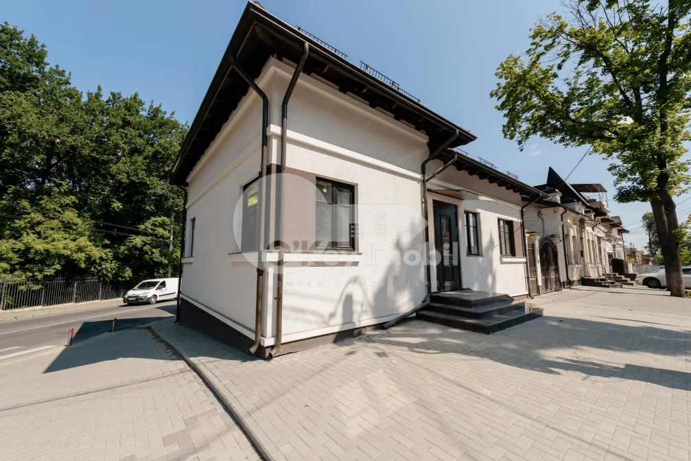 Spațiu comercial, Centru, ALEXANDRU LĂPUȘNEANU