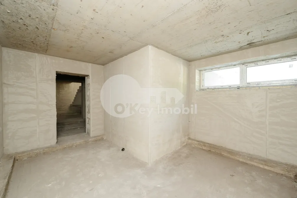 Spațiu comercial, Centru, ALEXANDRU LĂPUȘNEANU