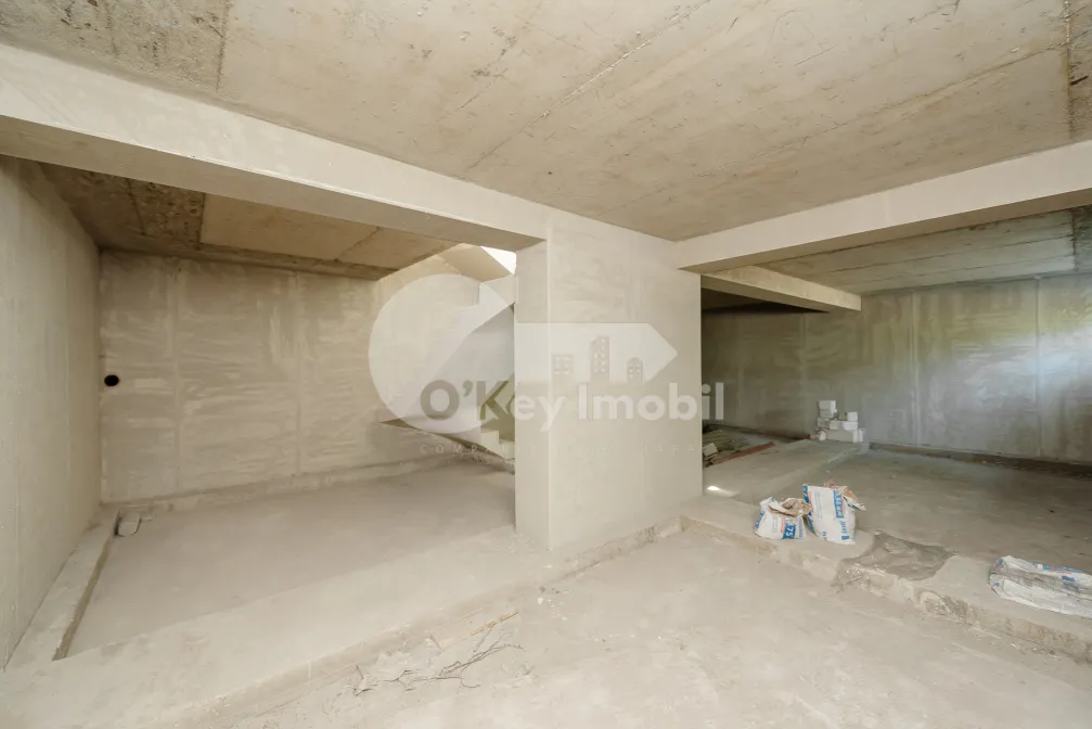 Spațiu comercial, Centru, ALEXANDRU LĂPUȘNEANU