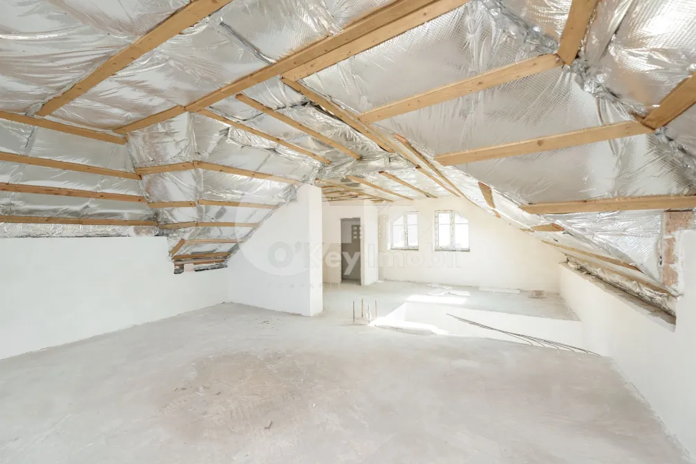 Spațiu comercial, Centru, ALEXANDRU LĂPUȘNEANU