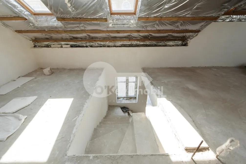 Spațiu comercial, Centru, ALEXANDRU LĂPUȘNEANU