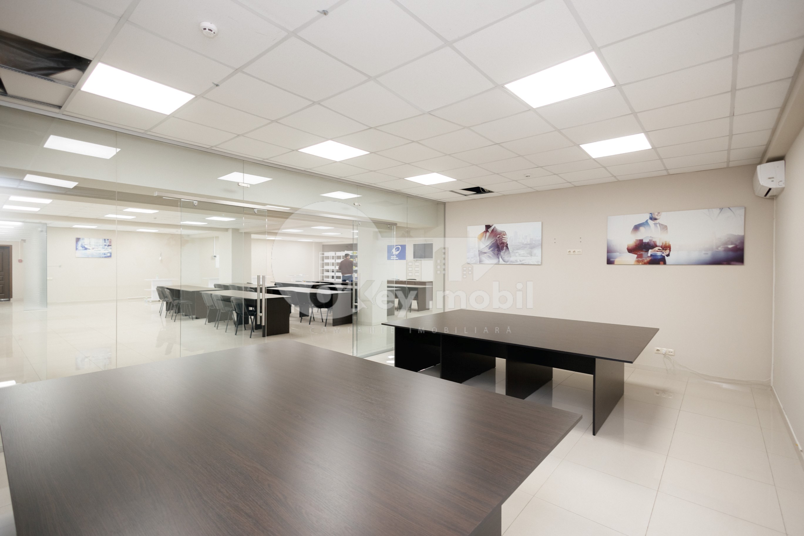 Офис, Ботаника, ДЕЧЕБАЛ