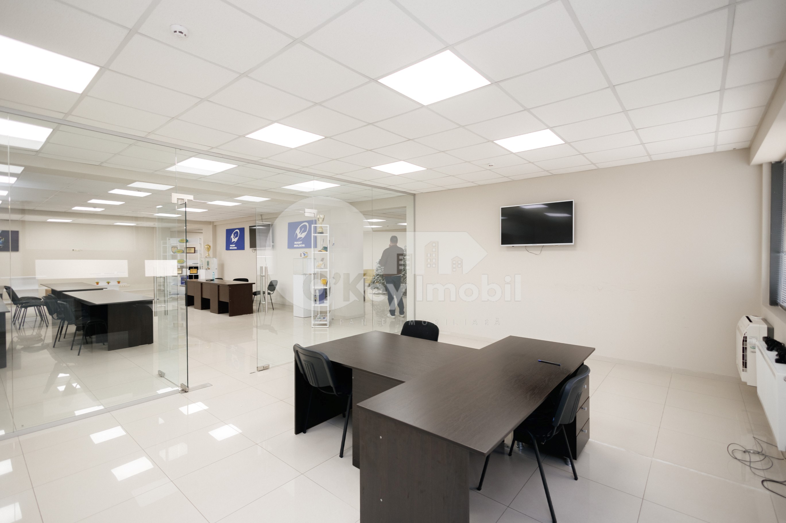 Офис, Ботаника, ДЕЧЕБАЛ