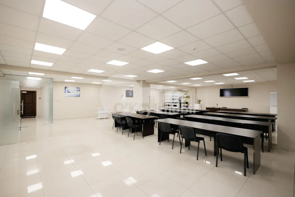 Офис, Ботаника, ДЕЧЕБАЛ